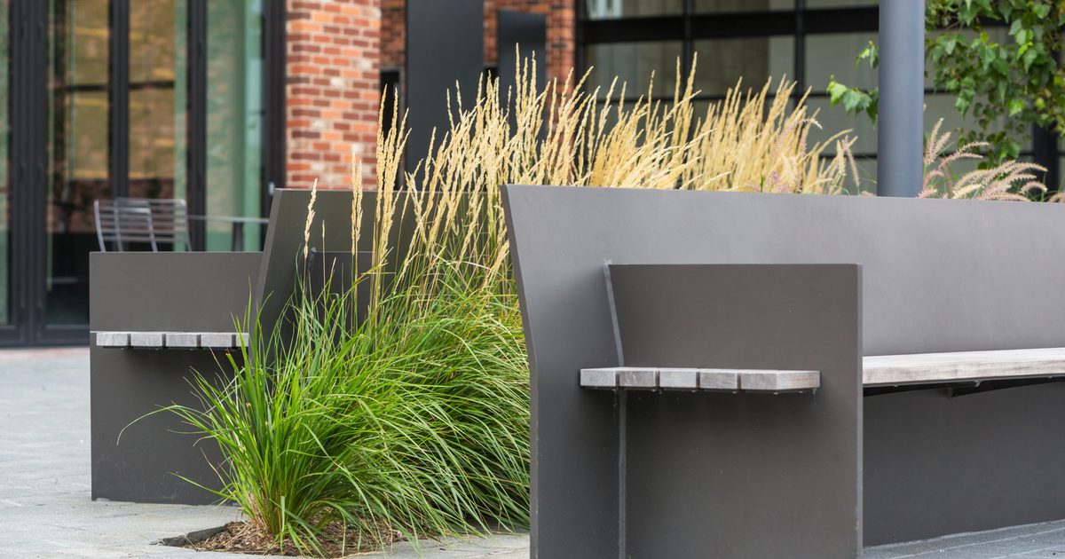 Long custom bench seating running through a planted plaza at 25 Kent Street