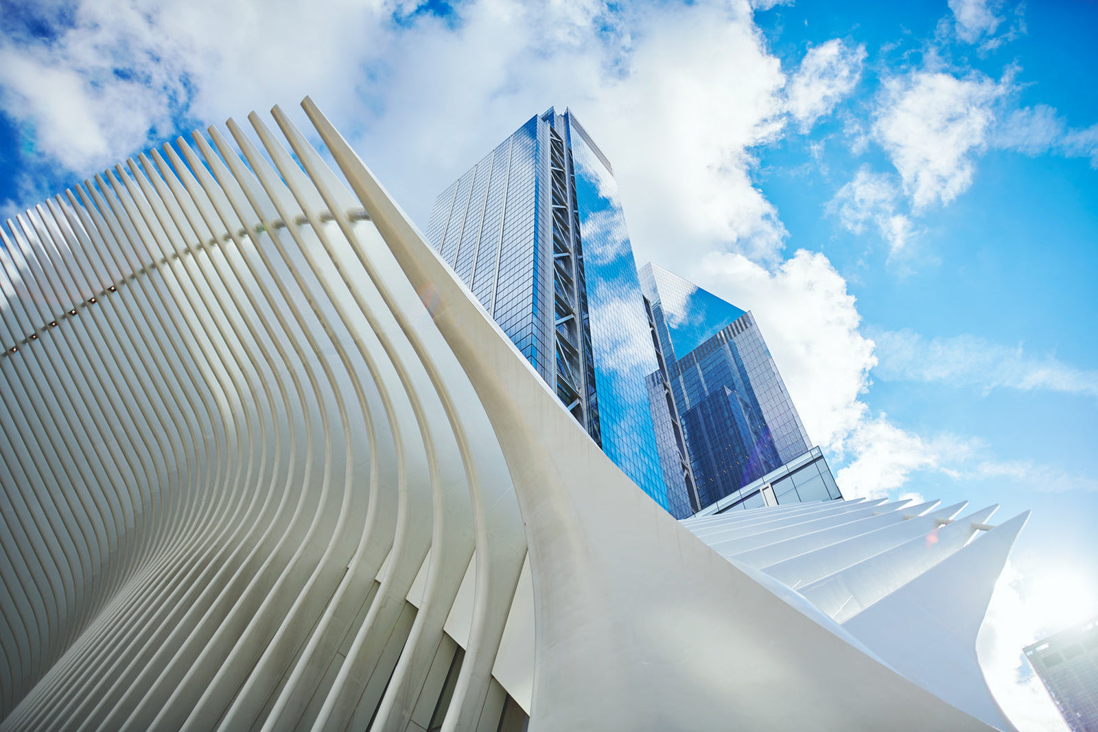 Stainless steel Oculus station house with curved white structural ribs in New York