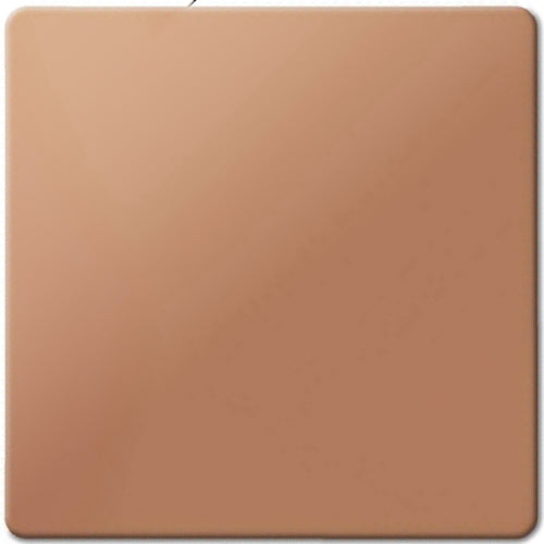 Mirror surface Rose gold