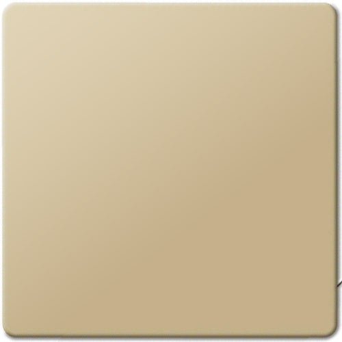 Mirror surface Yellow titanium