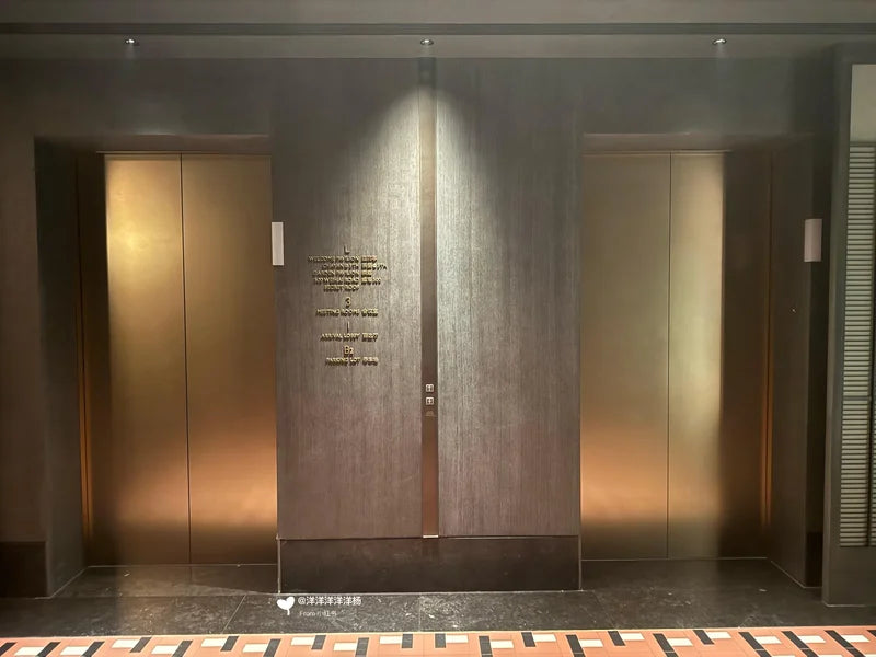 Paired elevator doors with central wall panel for custom Xinmao Metal elevator design
