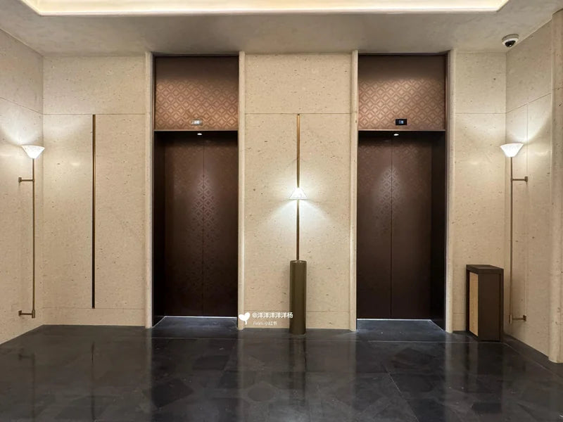 Two dark elevator doors in light wall for custom Xinmao Metal elevator design
