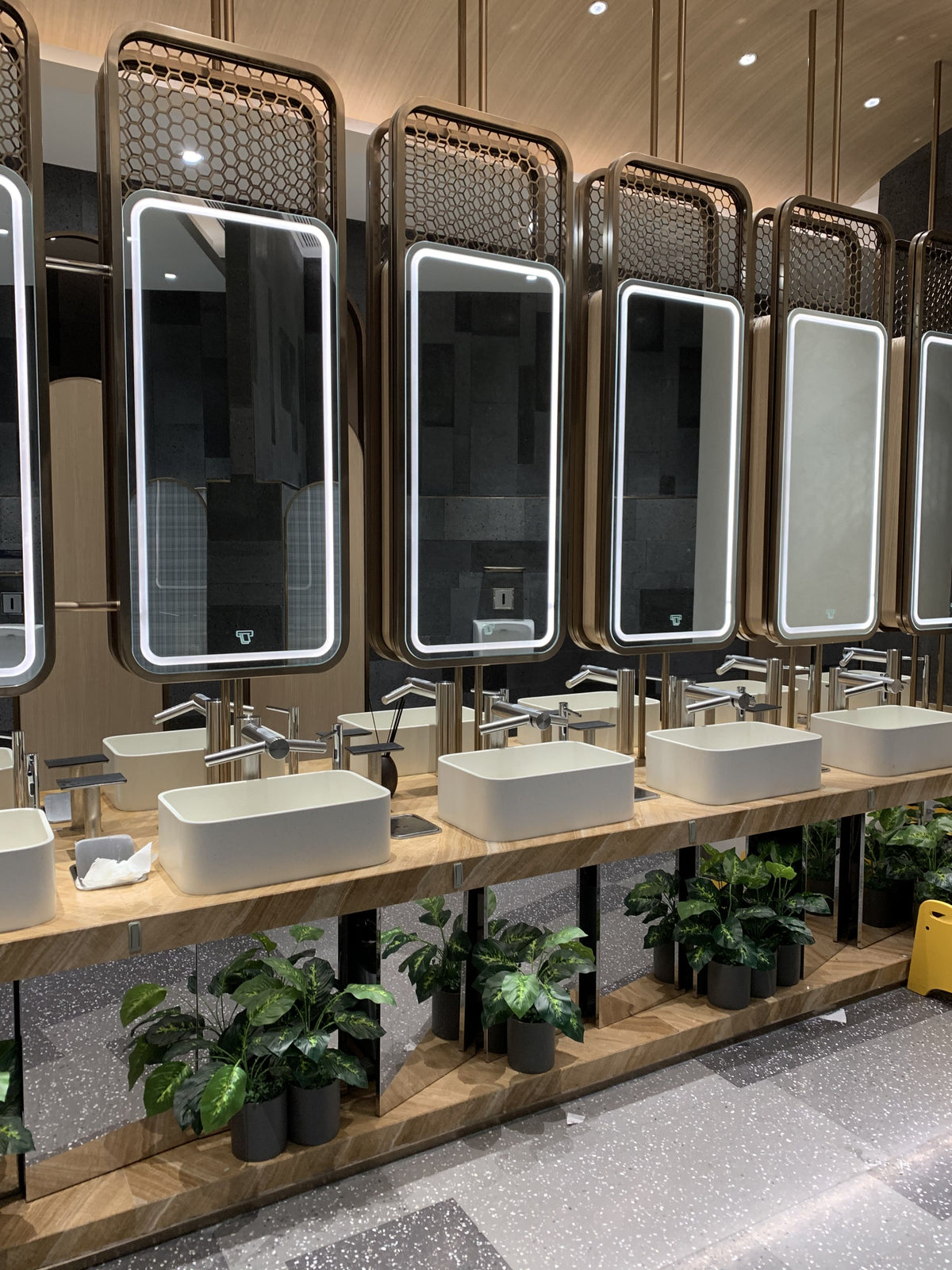 Illuminated rectangular mirror cabinets in a commercial restroom